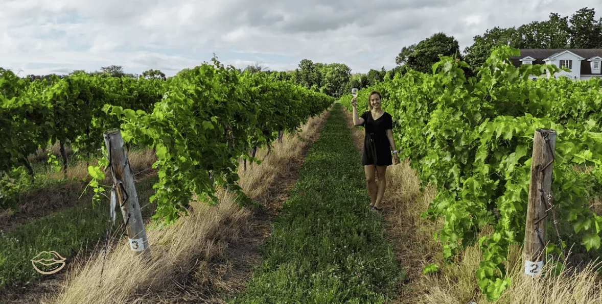 Dégustation de vin – Niagara-on-the-lake